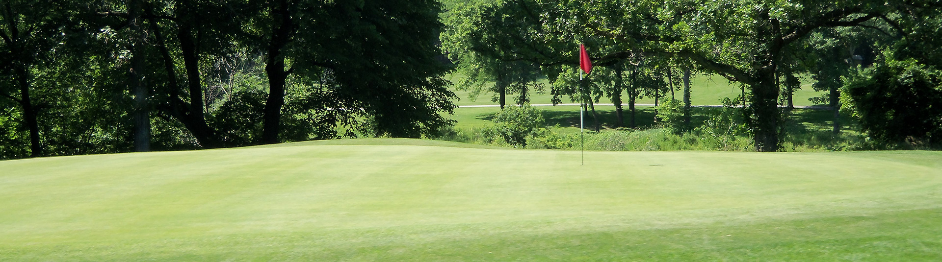 view of golf course green with flagpole